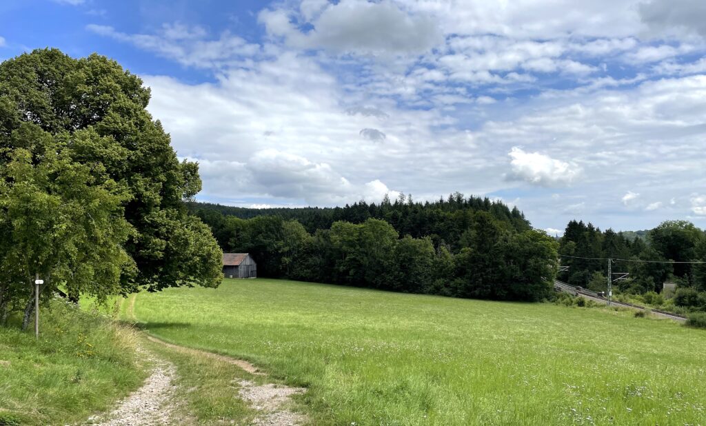 Weg runter in die Schlucht der Eulenmühle
