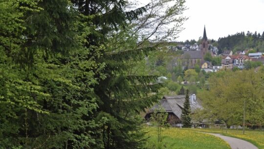 Schwarzwald-Baar-Kreis feiert Geburtstag – Geschenk an alle Bürgerinnen und Bürger: Kostenloser ÖPNV am  Sonntag, 14. Mai