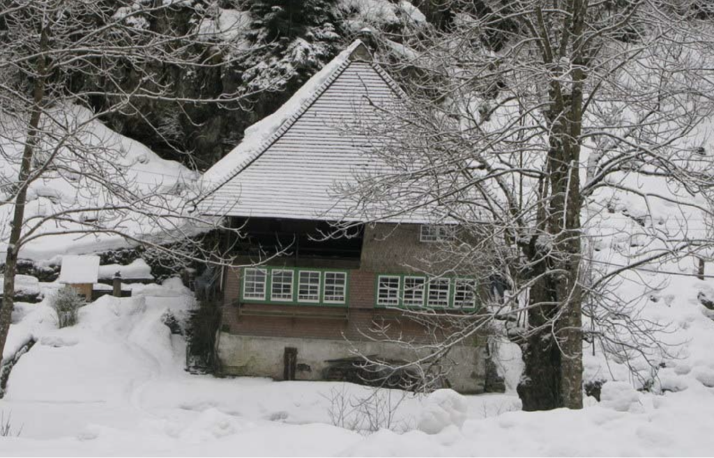 Schwarzwaldhof im Schnee