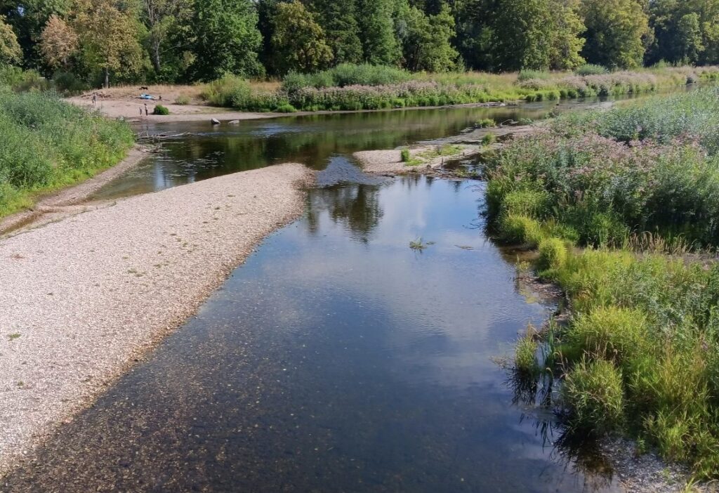 Die Bregaue in Donaueschingen