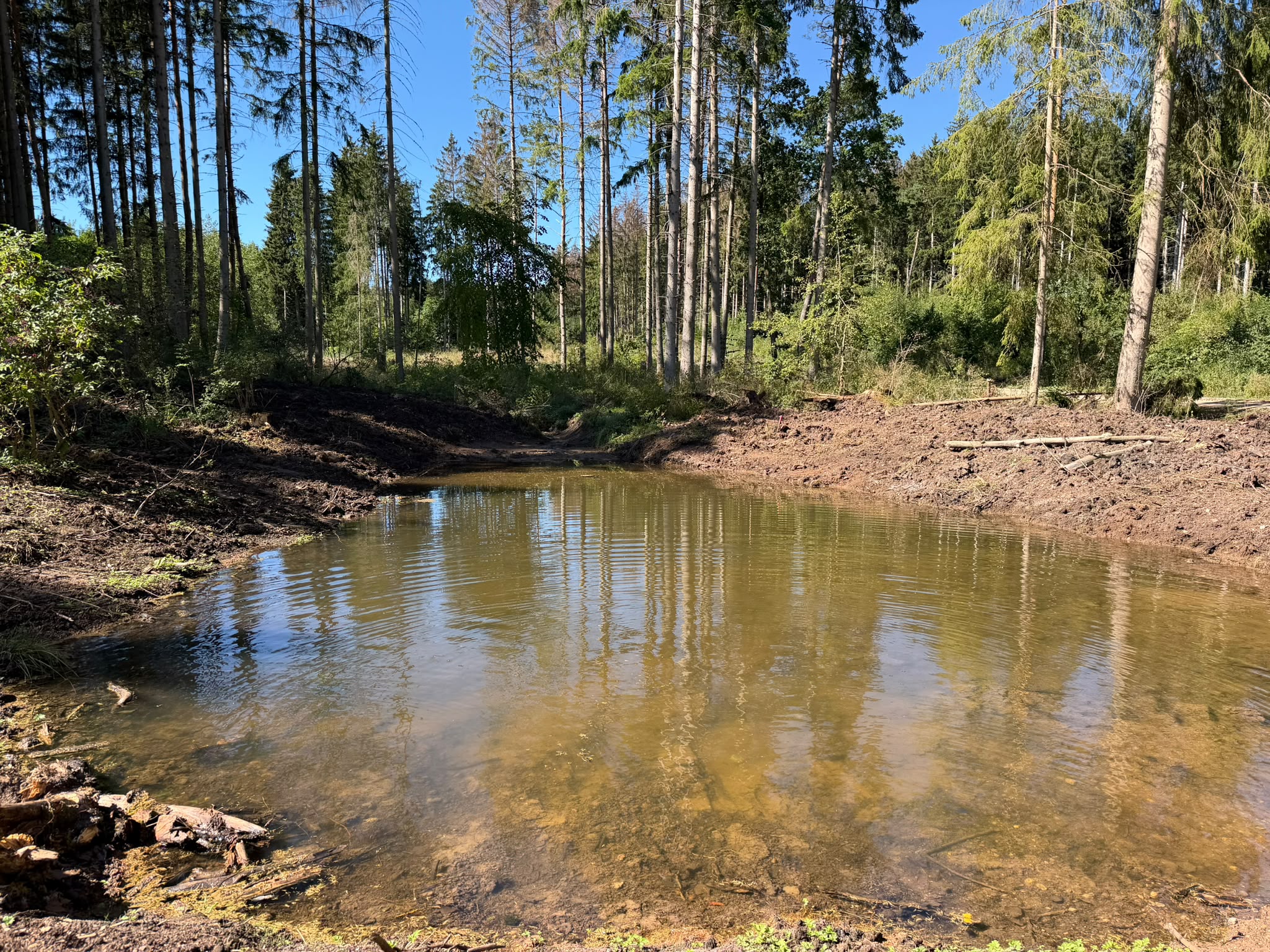 Der Haupttümpel neben dem Behlaer Weiher
