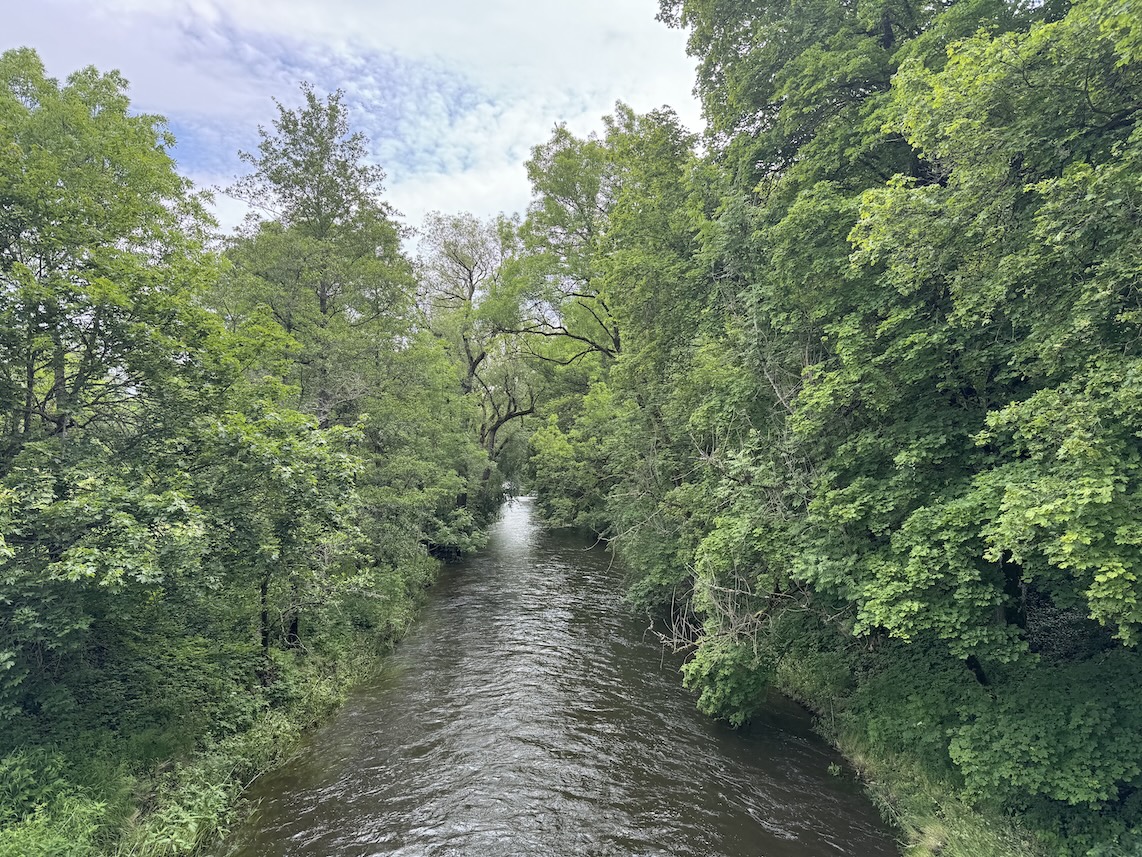 Blick von der Brücke auf die Breg