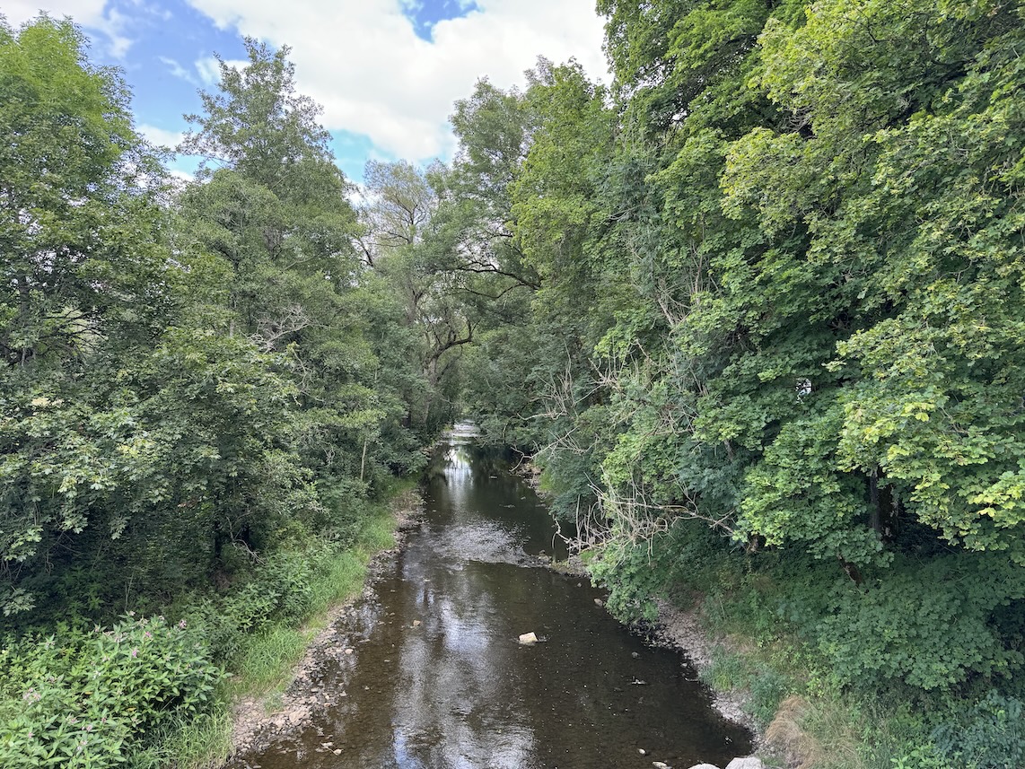 Blick von der Brücke auf die Breg