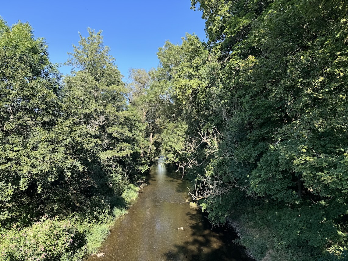 Blick von der Brücke auf die Breg