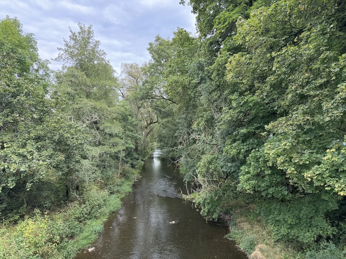 Blick von der Brücke auf die Breg