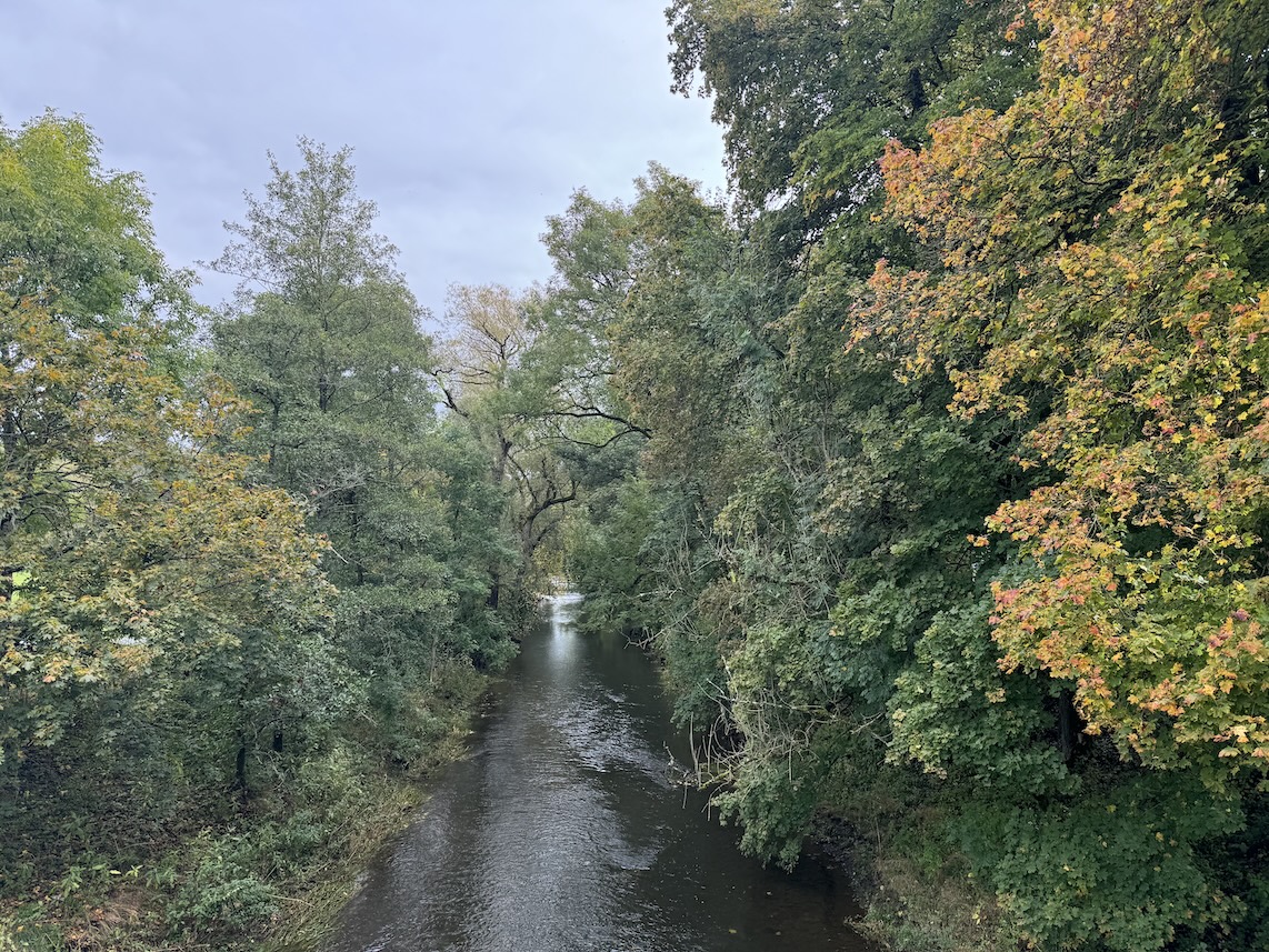 Blick von der Brücke auf die Breg