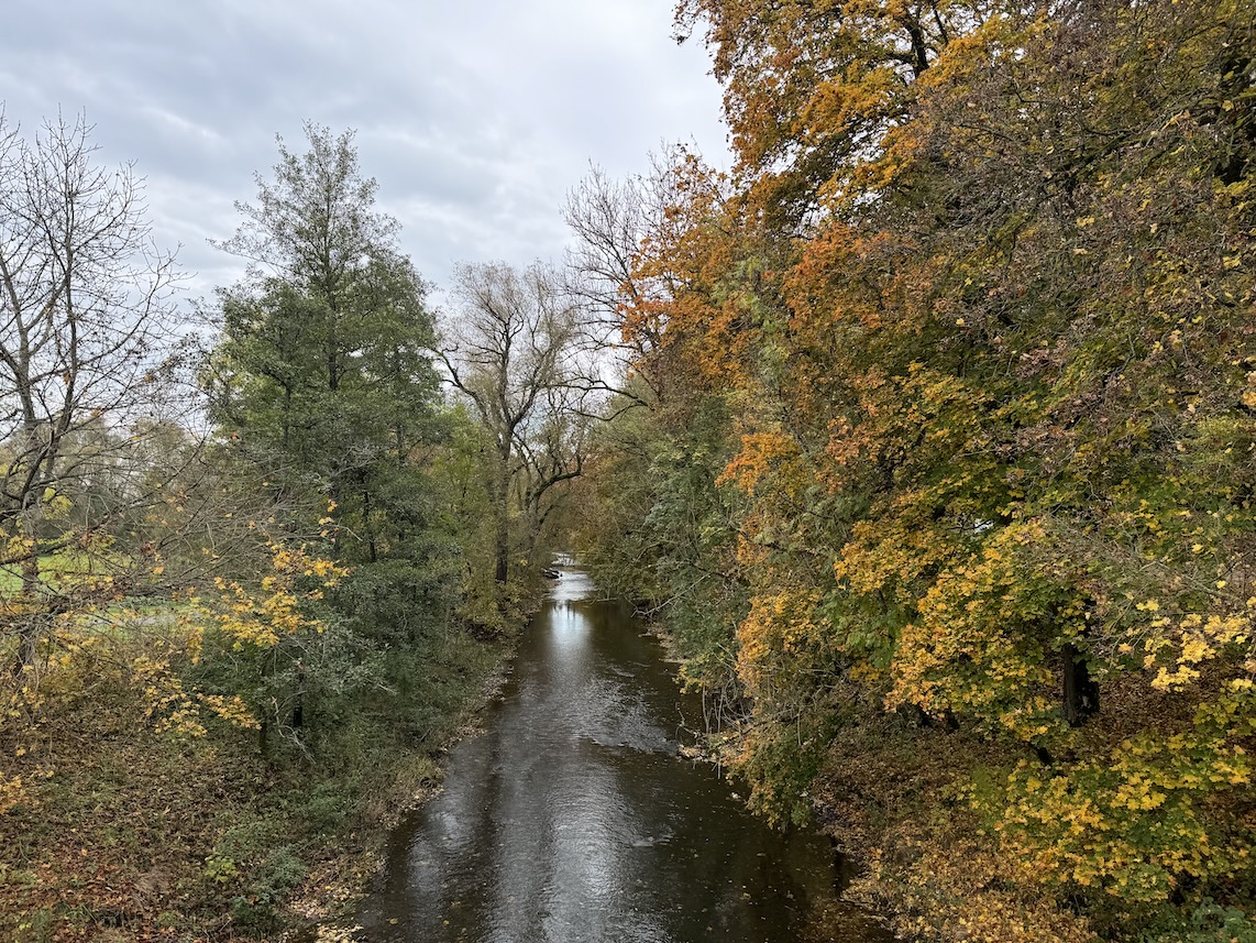 Blick von der Brücke auf die Breg