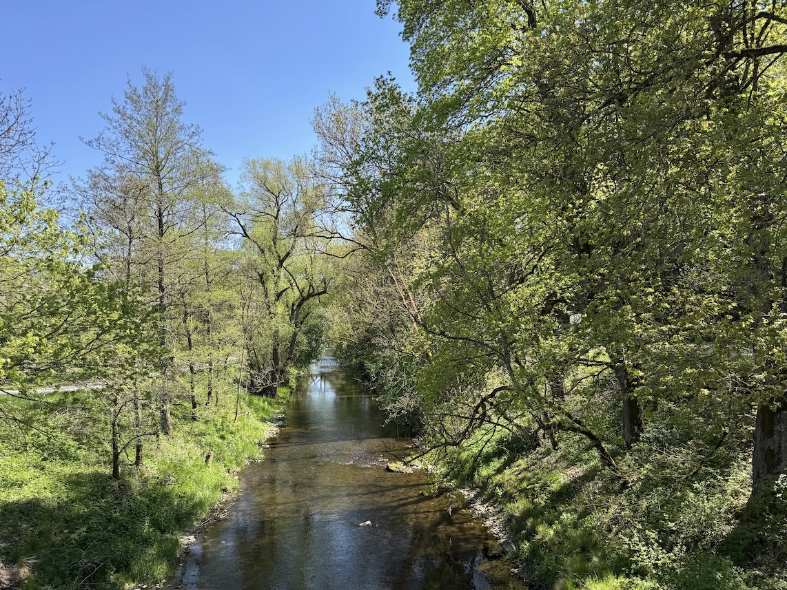 Blick von der Brücke auf die Breg