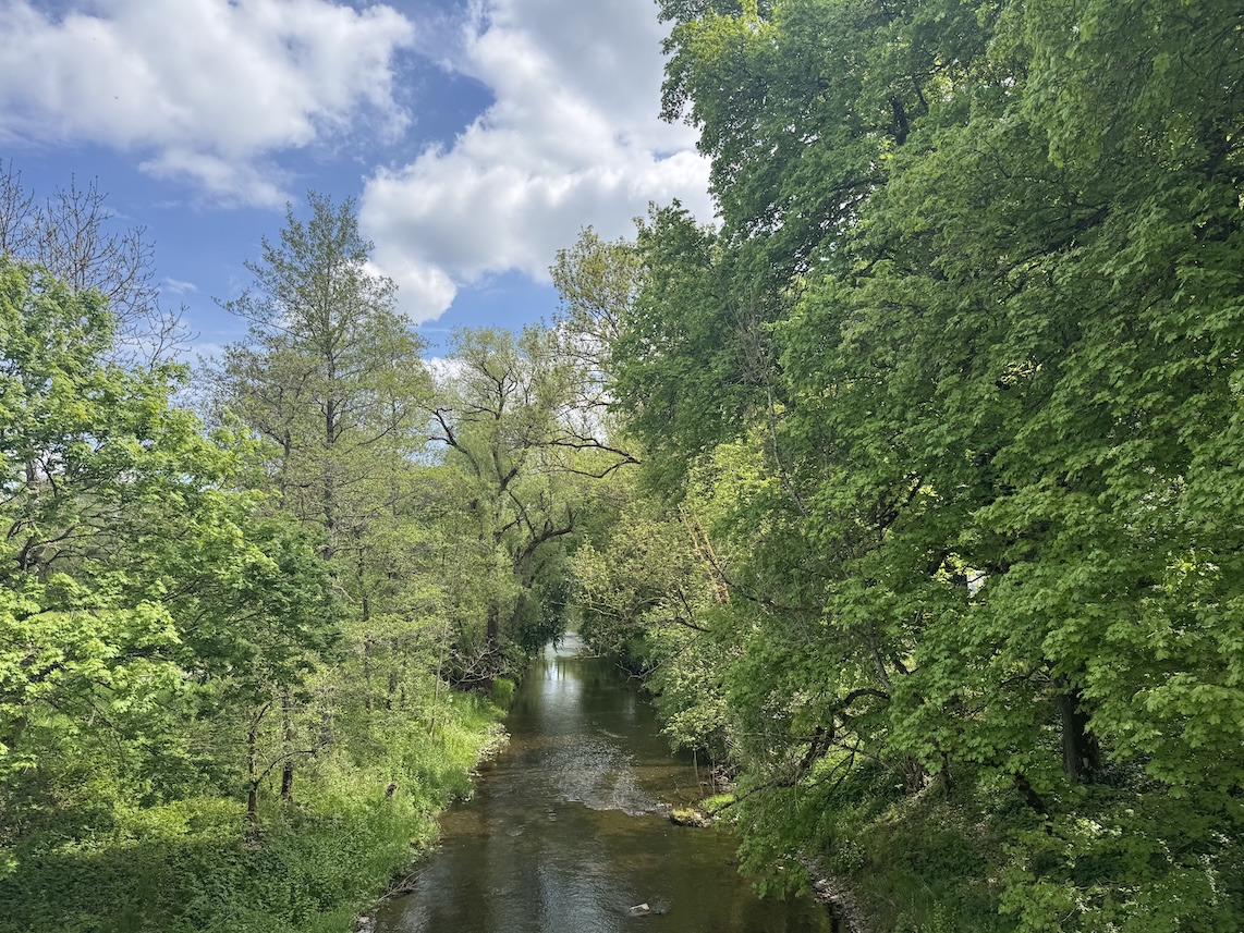 Blick von der Brücke auf die Breg