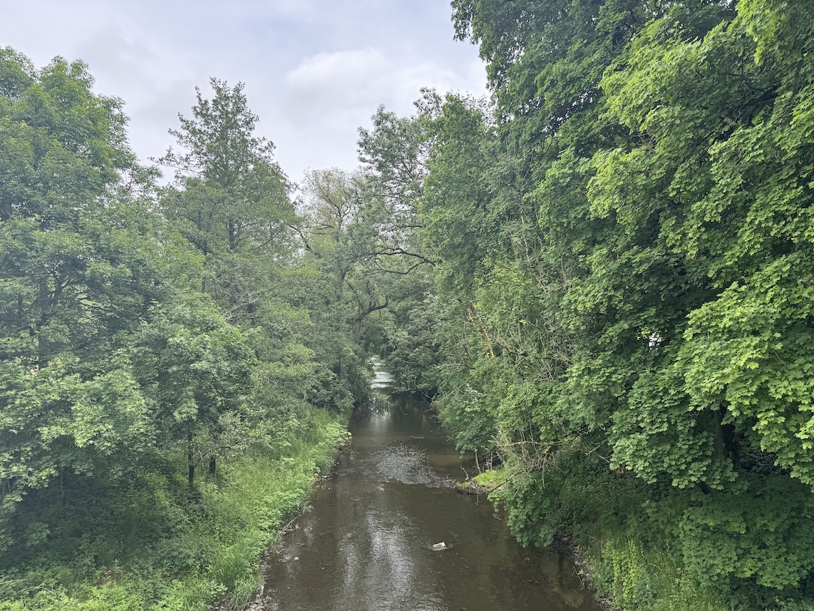 Blick von der Brücke auf die Breg