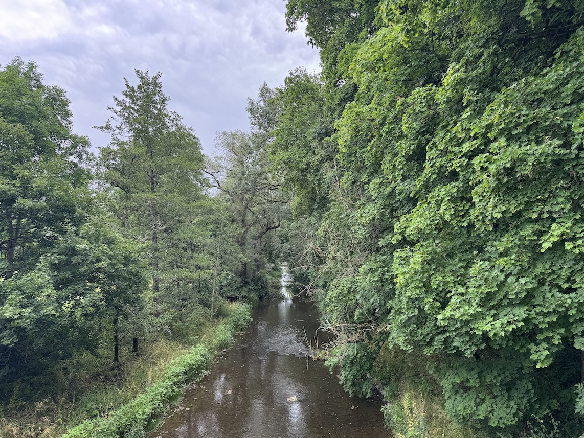 Blick von der Brücke auf die Breg