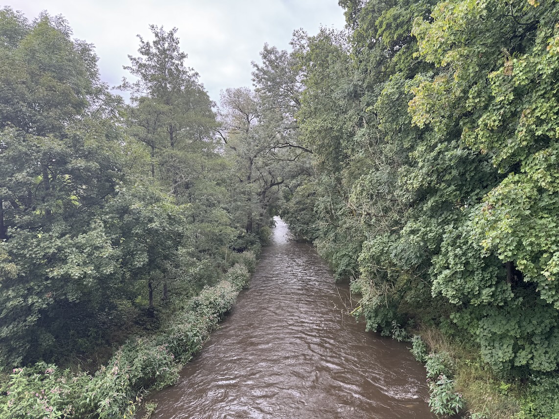 Blick von der Brücke auf die Breg
