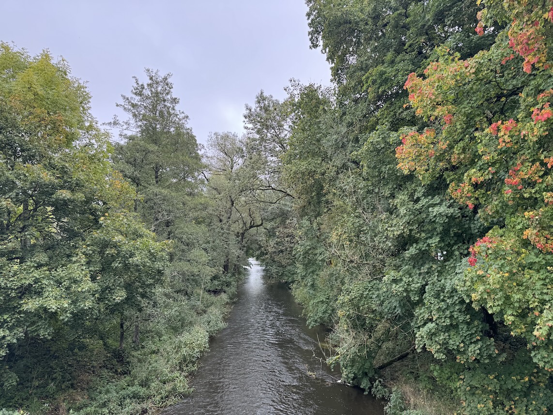 Blick von der Brücke auf die Breg