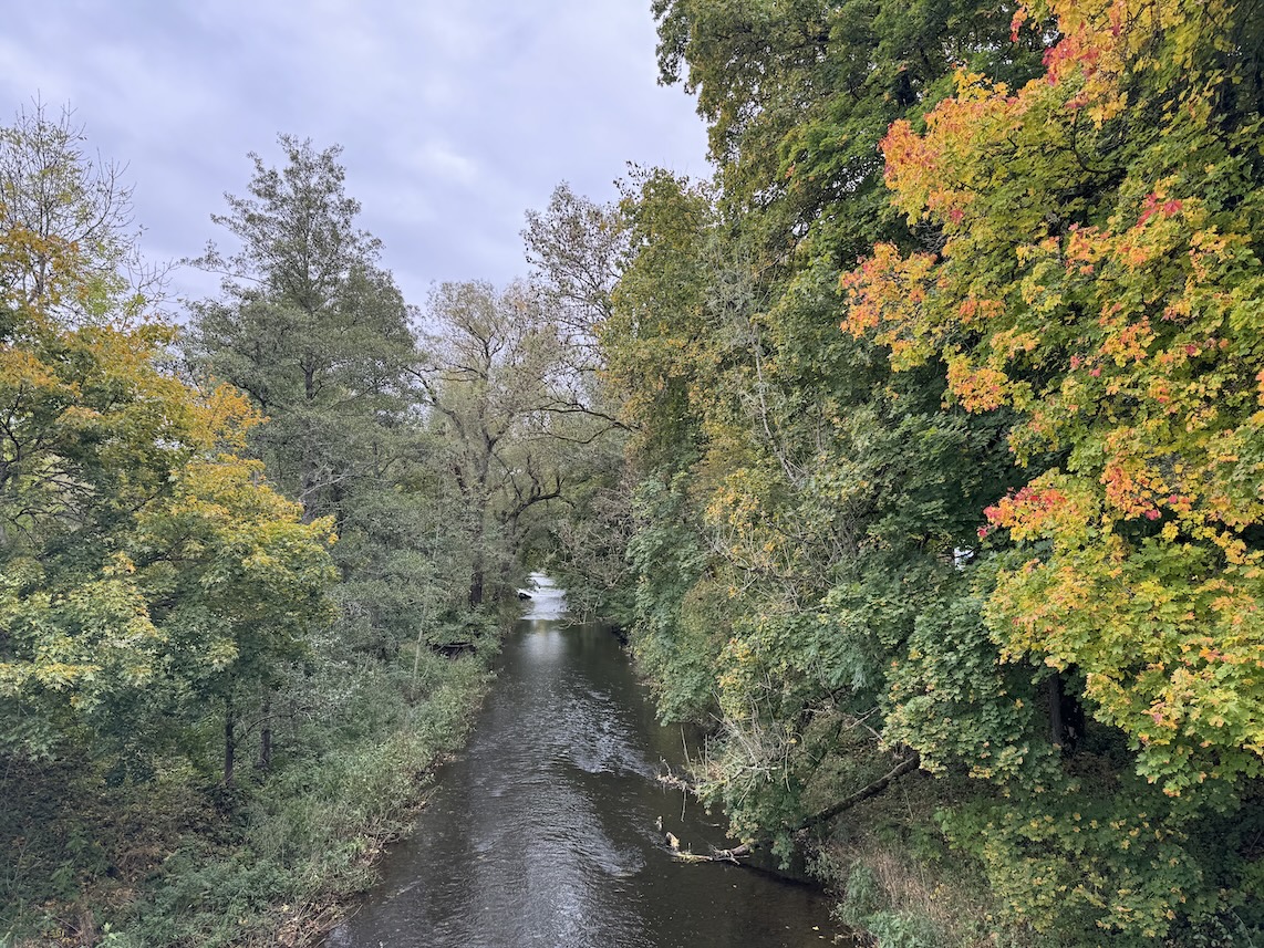 Blick von der Brücke auf die Breg