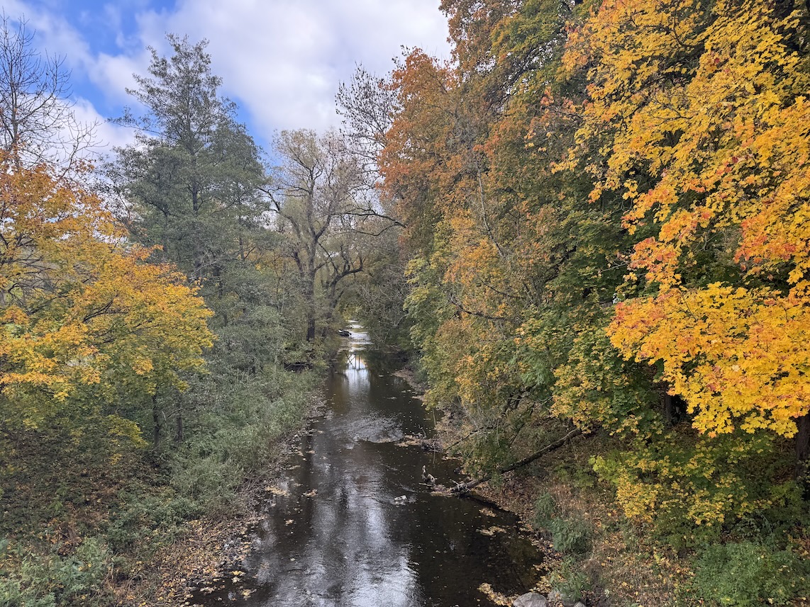 Blick von der Brücke auf die Breg