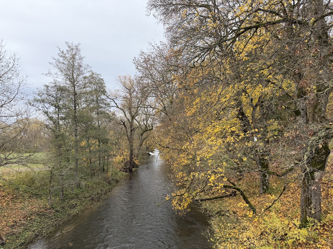Blick von der Brücke auf die Breg