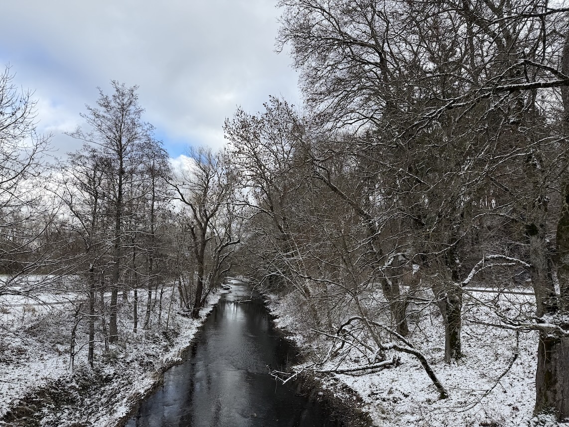 Blick von der Brücke auf die Breg