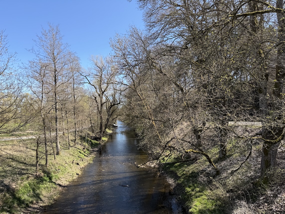 Blick von der Brücke auf die Breg