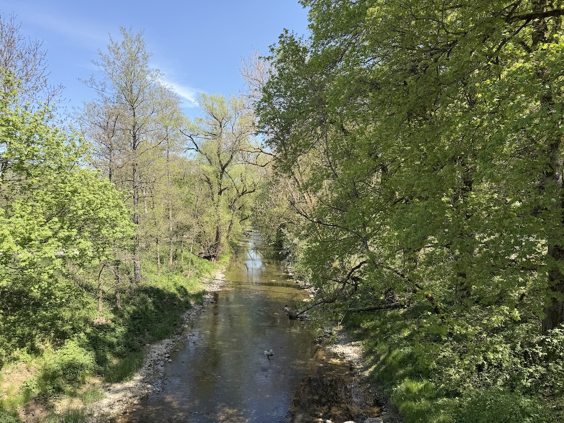 Blick von der Brücke auf die Breg