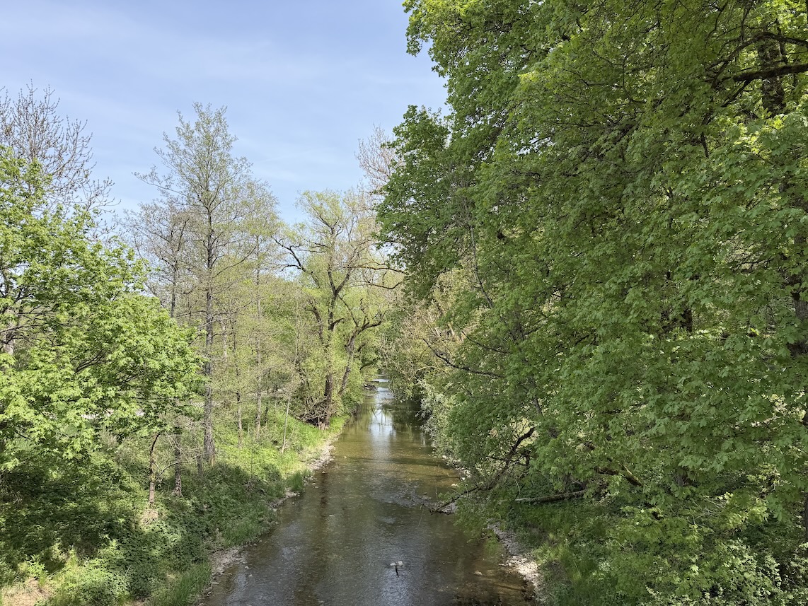 Blick von der Brücke auf die Breg