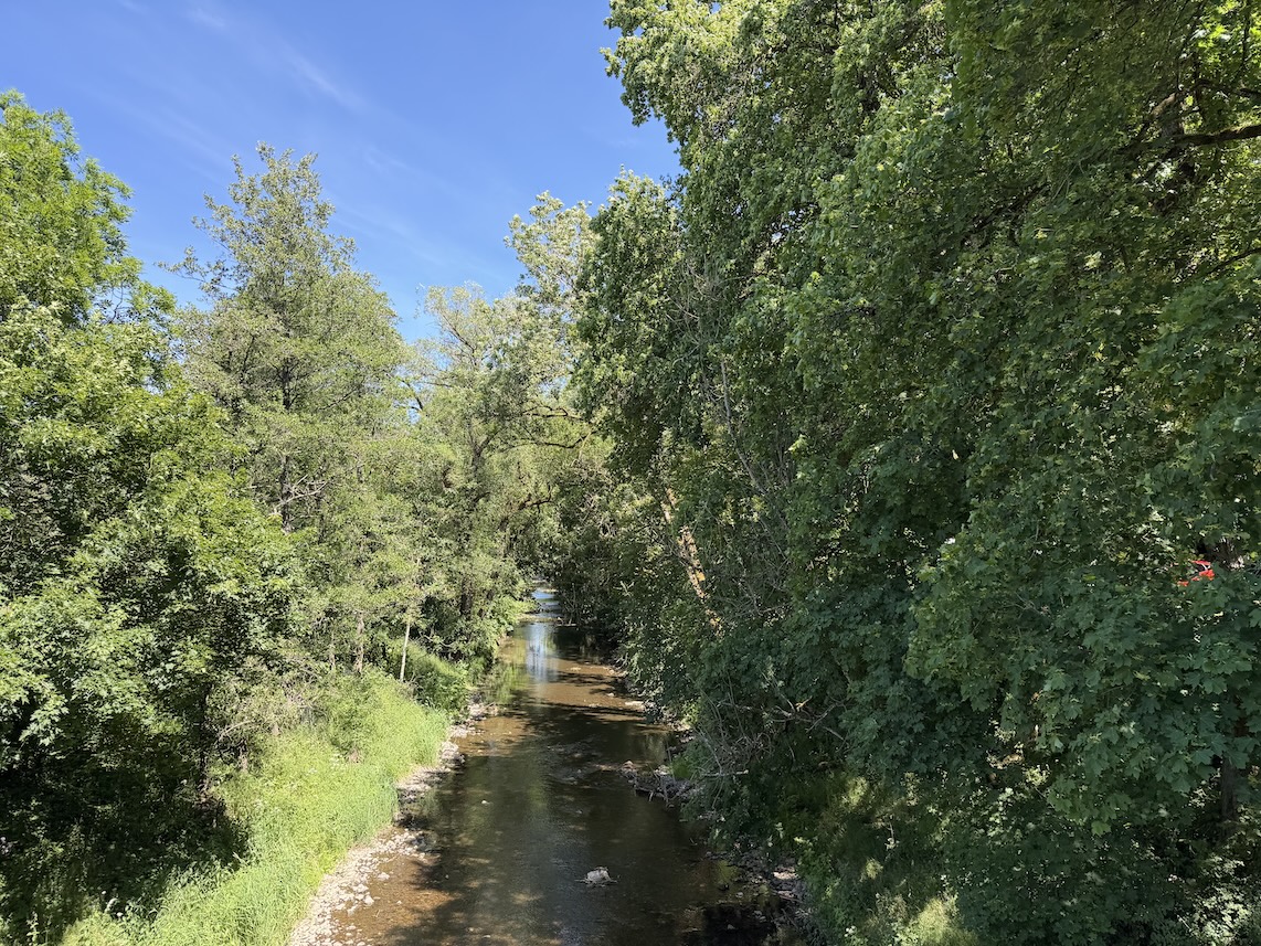Blick von der Brücke auf die Breg