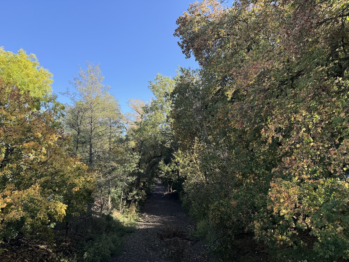 Blick von der Brücke auf die Breg