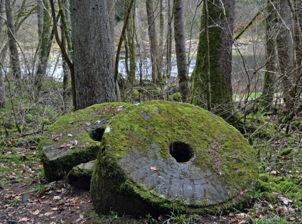 zwei alte steinerne Mühlräder