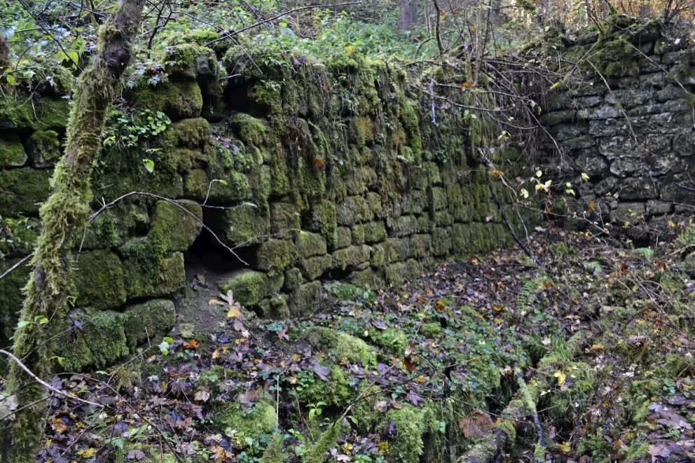 alte Mauerreste mit Moos bewachsen